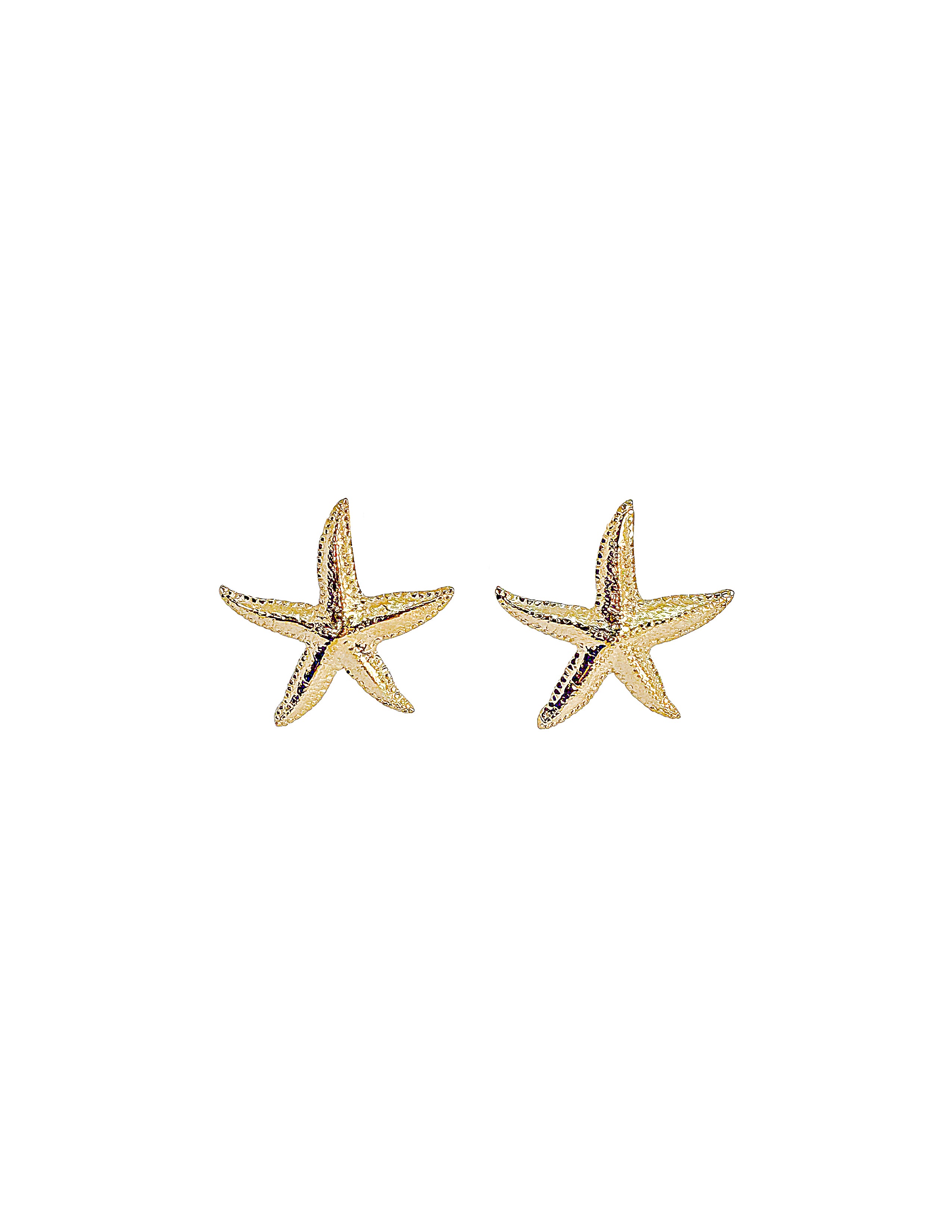 Starfish Earrings